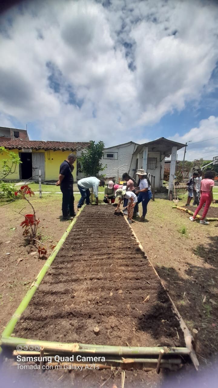 Instauración de eras para siembra — UMATA Yotoco